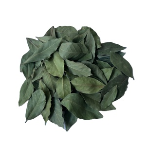 Hojas de Laurel Suministro de fábrica Alta calidad Recogido a mano Hoja de Laurel turca seleccionada 5-10 Cm Especias aromáticas Hierba Exportación Bale Embalaje - Product Image 2