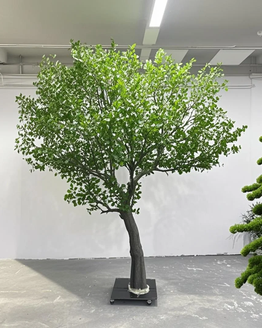 Albero di banyan 1