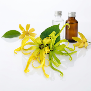 Ylang-ylang de qualité supérieure, huile importée des indiennes, livraison gratuite - Product Image 1