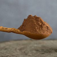Poudre de Maca noire de haute qualité pour hommes, Macamide 0,6%, extrait de racine de Maca noire en poudre
