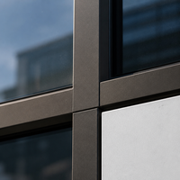Fournisseur B2B en gros de murs-rideaux en verre commercial Hangxing, façade à vitrage foncé, projet de bâtiment de bureaux sur mesure