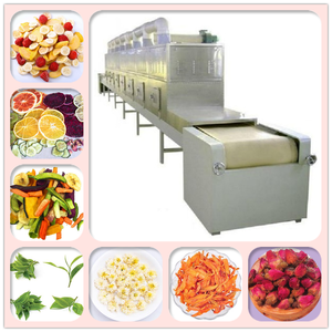 Séchoir à tunnel à micro-ondes pour légumes/BSF/<span class=keywords><strong>bois</strong></span> Équipement de <span class=keywords><strong>four</strong></span> à micro-ondes Séchoir à micro-ondes industriel avec prix d'usine - Product Image 3