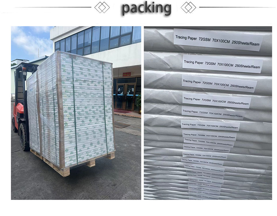 110gsm Eco-Friendly Vegetable Paperboard Sustainable Packaging Solution for Product Genre