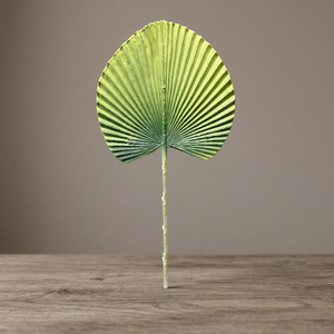 Tiges de palmier artificielles vertes ondulées en plastique, haute simulation, respectueuses de l'environnement, pour la Saint-Valentin AFF-Stick-7.5 - Product Image 2