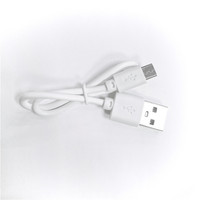 Kabel Micro USB V8 30 cm 2A TYPE C Kabel Pengisi Daya untuk Ponsel Android, Power Bank, Speaker, Aksesoris Smartphone