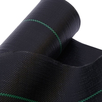 Tissu anti-UV de paysage de barrière de mauvaises herbes de géotextile de barrière de fente tissée par pp noirs
