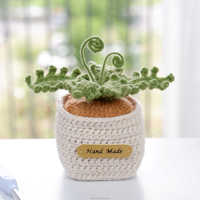 Décorations modernes pour la maison, accessoires de voiture, fleurs artificielles, mini plante succulente en crochet faite à la main