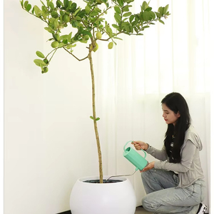 Jardinière en argile de magnésium Navire de sol sphérique innovant pour les magasins de décoration de maison de luxe Grande pièce maîtresse d'affichage <span class=keywords><strong>botanique</strong></span> - Product Image 1