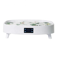 Lit pour animaux de compagnie USMILEPET à température régulée, lit chauffant et rafraîchissant pour chats et petits chiens