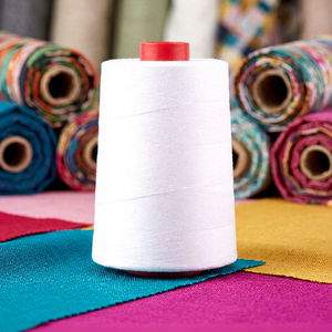Oferta Directa de Fábrica: Hilo de Coser de Poliéster Hilado 100% Teñido de Alta Tenacidad 40/2 50/2 60/2 40s 2 con Certificación Oeko-Tex - Product Image 1