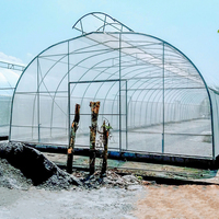 Grande serre à toit parapluie à travée unique avec structure en tuyaux d'acier galvanisé et revêtement en film PE