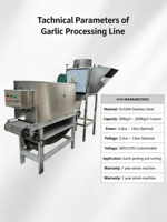 Vente directe du fabricant : Machine à éplucher l'ail, éplucheuse d'ail, machine à enlever la peau, machine à éplucher les oignons et l'ail
