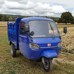 Sıcak satış uygun tamamen kapalı dizel ulaşım mühendislik ev üç tekerlekli bisiklet - Product Image 1