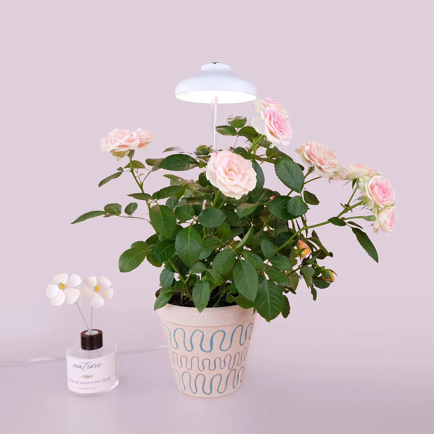 LED Indoor Garden Plant lamp Usb small growing light led for plant growth