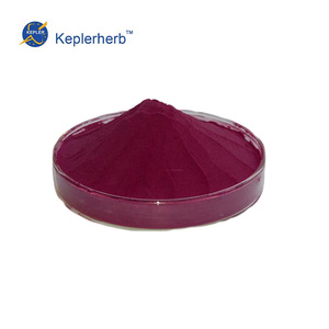 Extracto Herbal de Arándano Puro y Natural de Alta Calidad, Polvo con 25% de Antocianinas, Certificado UV HPLC GMP, para Suplemento de Salud Ocular, en Envase Tipo Tambor - Product Image 2