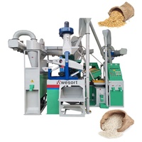 Wesort Riz Couleur Trieur Petit Mini Riz Fraiseuse Usine Portable Ensemble Complet Combiné Pièces De Rechange Prix De Moulin À Riz