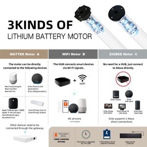 Alta calidad Corea doble ventana inteligente motorizado Combi Wifi automático eléctrico sombra Blackout <span class=keywords><strong>Drive</strong></span> motorizado cebra persianas enrollables - Product Image 4