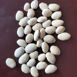 Semillas <span class=keywords><strong>de</strong></span> Judías <span class=keywords><strong>de</strong></span> Jacinto Tipo YAO BIAN DOU Chinas, Lentejas Partidas, Lentejas Blancas Ovaladas Secas - Product Image 2