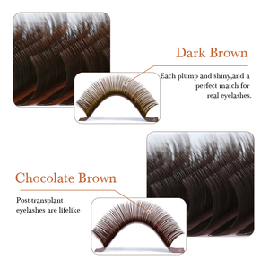 <span class=keywords><strong>Darkest</strong></span> Brown Collection Extensión de pestañas Individual Mink Color chocolate Pestañas postizas Brown Teal Mocha Extensión de pestañas - Product Image 4