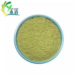 Poudre de feuilles de <span class=keywords><strong>Moringa</strong></span> Oleifera pure et naturelle en vrac, extrait d'herbes, fût de 25 kg - Product Image 1