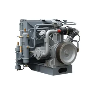 Compressore elettrico a corrente alternata a basso costo 12V compressore elettrico 150Bar 150L H2 12V ac