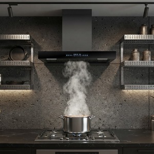 Hotte murale <span class=keywords><strong>Greentec</strong></span> OEM/ODM en acier inoxydable avec débit d'extraction de 15-17m/min, 100W, pour usage domestique et hôtelier - Product Image 2