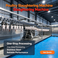 Ligne de traitement de volailles 800BPH, machine d'abattage de poulets Plug and Play, aucun travaux civils requis pour l'abattoir