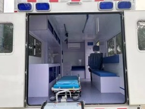 Nuovo Veicolo di Trasporto d'Emergenza Ospedaliero Fuoristrada 4x4 Diesel con Trasmissione Automatica - Product Image 5