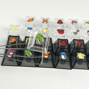 HZGAMER ESC 1U <strong>Keycaps</strong> Custom Design <strong>CHERRY</strong> Profile UV Printing PC <strong>Keycaps</strong> - Product Image 3