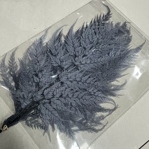 Foglie di Felce Fiocco di Neve Essiccate Eterne, Foglie di Felce Artificiali Lunghe 55cm, Decorazione Duratura per San Valentino - Product Image 2