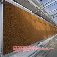 Invernadero de Vidrio Multiusos de Ahorro Energético para Agricultura Comercial y Producción de Cultivos