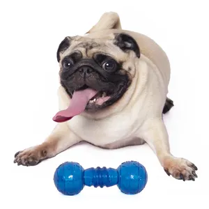 Venda quente novo Atacado Colorido Durável Sólido Cão Mastigação Brinquedos TPR haltere + Squeaker Pet Chew Brinquedos