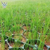 Экологичная модифицированная дренажная решетка из первичного HDPE-пластика для газона, парковок, пожарных проездов и склонов