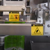 Machine de remplissage et de scellage horizontale à grande vitesse Acepack certifiée CE pour sachets de poudre et de liquide