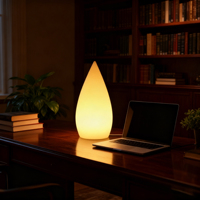 Lampe de table LED rechargeable au design moderne, 16 couleurs changeantes, sans fil, lumière décorative pour restaurant, chambre, hôtel, bar, maison