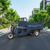 Tricycle électrique commercial à benne basculante pour charges lourdes, avec cadre en acier renforcé, pour entrepôt et livraison