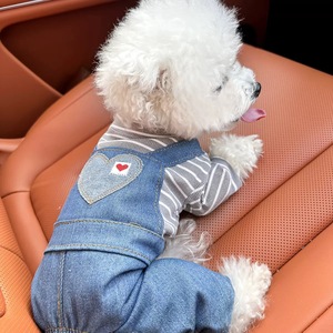 ציוד לחיות מחמד בגדי חיות מחמד חדשים וחמודים 2026 מכנסי ג'ינס לריצה לכלבים אוברולים לכלבים פיג'מות בגדי ג'ינס לכלבים לחיות מחמד קטנות - Product Image 5