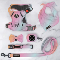 Harnais et laisse de sécurité pour animaux de compagnie personnalisés, réfléchissants, réglables, anti-traction, ensemble d'accessoires pour animaux de compagnie