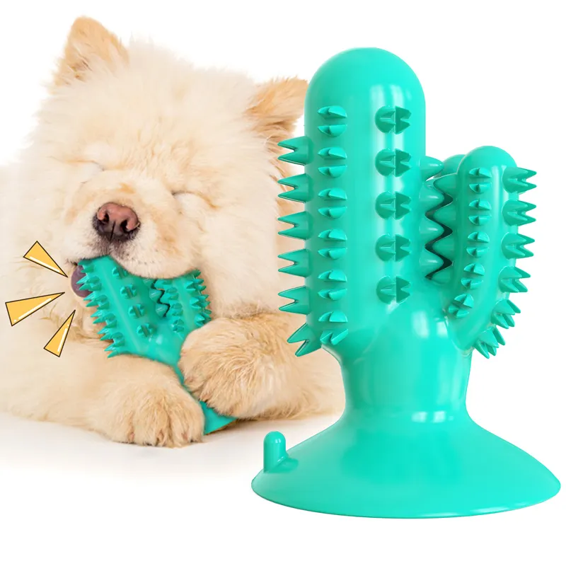 New Chất lượng cao Dog bàn chải đánh răng Pet Nguồn cung cấp xương rồng MOL sounding Stick Pet Đồ chơi cao su Chew kem đánh răng Dog đồ chơi