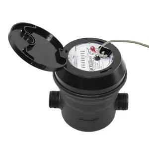 Residential Piston Displacement Volumetric Dry Type Class C Water Meter with Plastic Body / Reed Switch or Pulse Output