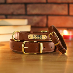 Personal isierte Kunstleder Hunde halsband Kunden spezifische Haustier halsbänder Luxus-Haustier halsbänder für Hunde - Product Image 3