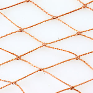 <span class=keywords><strong>Cage</strong></span> piège pliable en acier galvanisé, pièges à oiseaux, contrôle, piège à animaux vivants humain, capture de moineaux - Product Image 4