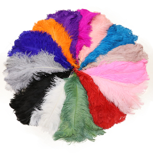 Tiges épaisses en vrac mariage fleur stands blanc artisanat <span class=keywords><strong>60</strong></span>-65 <span class=keywords><strong>cm</strong></span> grande couleur plume <span class=keywords><strong>d</strong></span>'<span class=keywords><strong>autruche</strong></span> pour mur Art mariage carnaval <span class=keywords><strong>d</strong></span>écor - Product Image 2