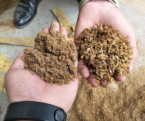 Điện Khô Cỏ Ướt Hammer Mill/Hay Cắt Cho Động Vật Thức Ăn/Cỏ Băm Nhỏ Máy - Product Image 6