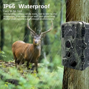 2025 điểm mới và bắn máy ảnh không thấm nước GSM báo động từ xa ngoài trời động vật hoang dã wifi an ninh HD Mini ẩn ngụy trang máy ảnh - Product Image 4