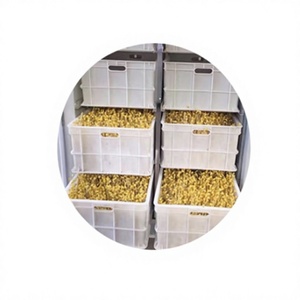 Machine commerciale automatique à haut rendement pour la germination du sorgho et des haricots <span class=keywords><strong>mungo</strong></span> - Product Image 1