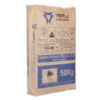 Sac en toile tissée PP avec valve de 20 kg, 25 kg, 40 kg, 50 kg pour ciment Portland, poudre de ciment et mastic