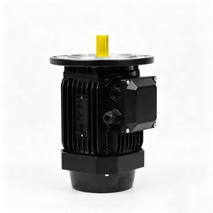 มอเตอร์ไฟฟ้าสามเฟสแบบอะซิงโครนัส YE2-132S-4 5.5KW 7.5HP 1500RPM สำหรับเครื่องทำความเย็น  ผู้จัดจำหน่ายที่ได้รับการยืนยันแล้ว - Product Image 1