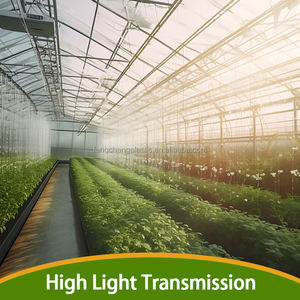 耐紫外線プラスチック温室カバー 温室シート 屋根保護 温室フィルム - Product Image 3