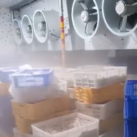 Evaporador de habitación fría, Enfriador de aire, unidad de refrigeración, evaporador para caminar, proveedor profesional